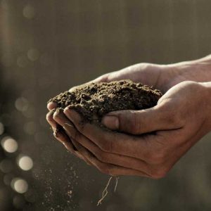 hands holding dry soil