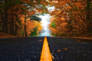 A low shot of an empty road surrounded by autumn foliage