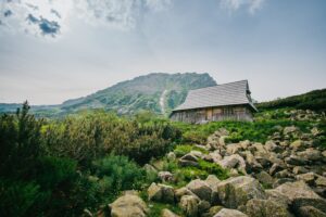 A gray wooden cabin with the backdrop of a mountain in spring